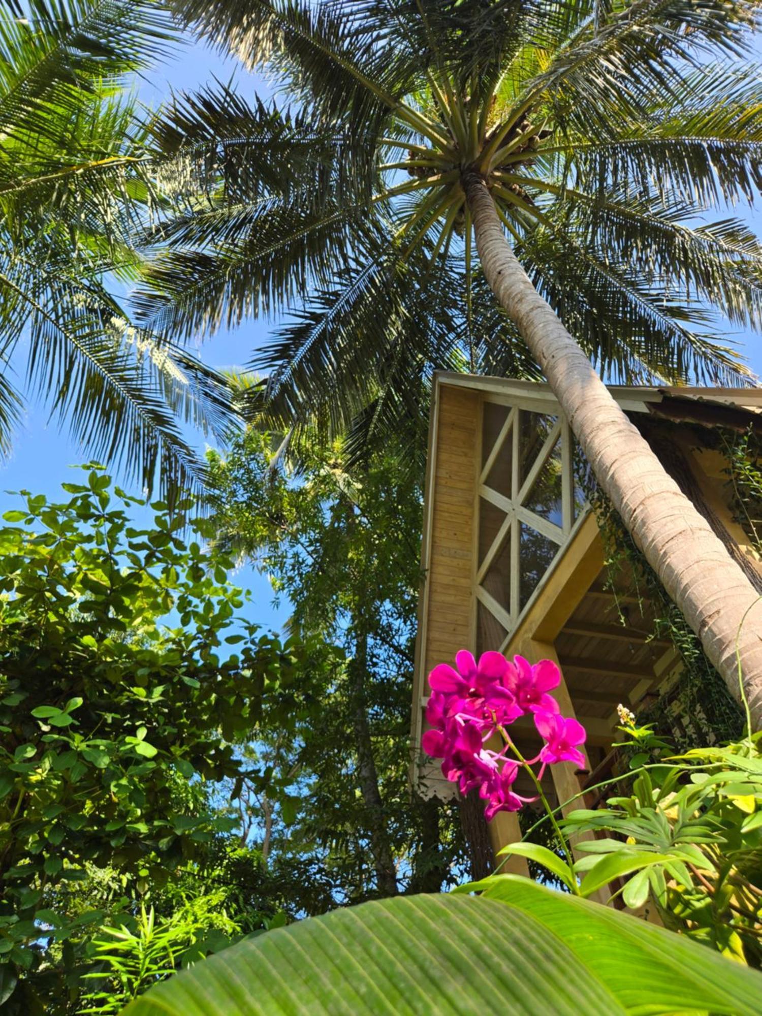 Surf N Sun - Arugam Bay Hotel Room photo